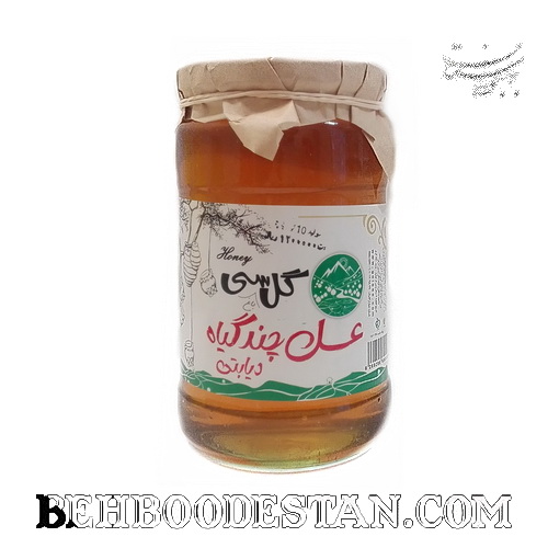 عسل چند گیاه مخصوص دیابتی ها یک کیلویی بهبودستان طب سنتی